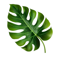 leaf-image