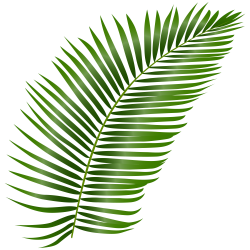 leaf-image